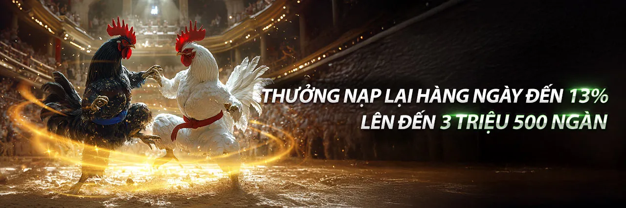 Cập nhật tính năng mới vf88 nhà cái
