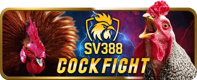 Bước 3: Điền thông tin cá nhân vào biểu mẫu vf88 nhà cái